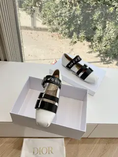 Dior 2025 early spring new loafers