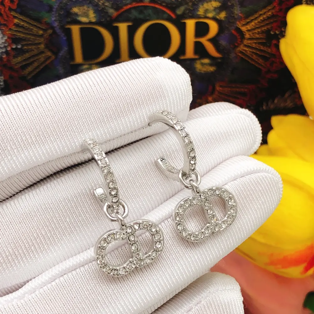 Dior ear hook silver CD diamond Earrings