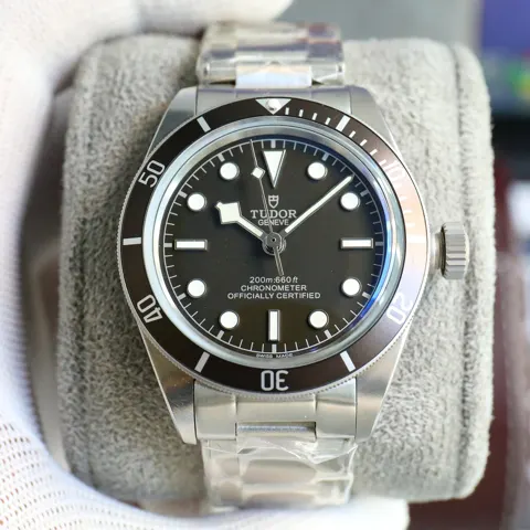 Tudor Watch