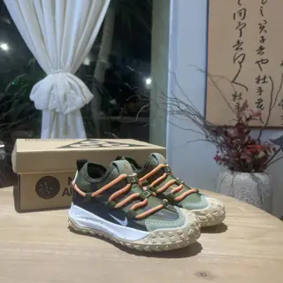 Nike ACG hiking shoes