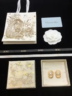 DIOR earrings hot sale hot new models