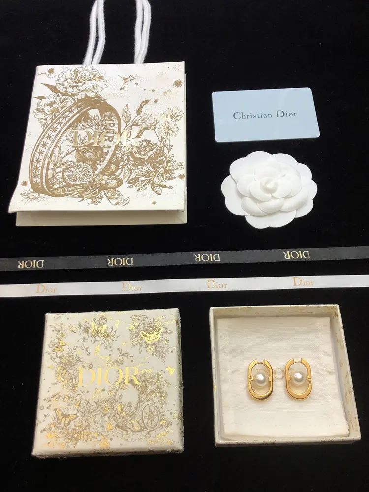 DIOR earrings hot sale hot new models