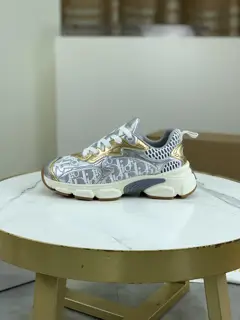Dior CHRONO shoes have a lot of silver shiny structures with gray mesh materials. The soles