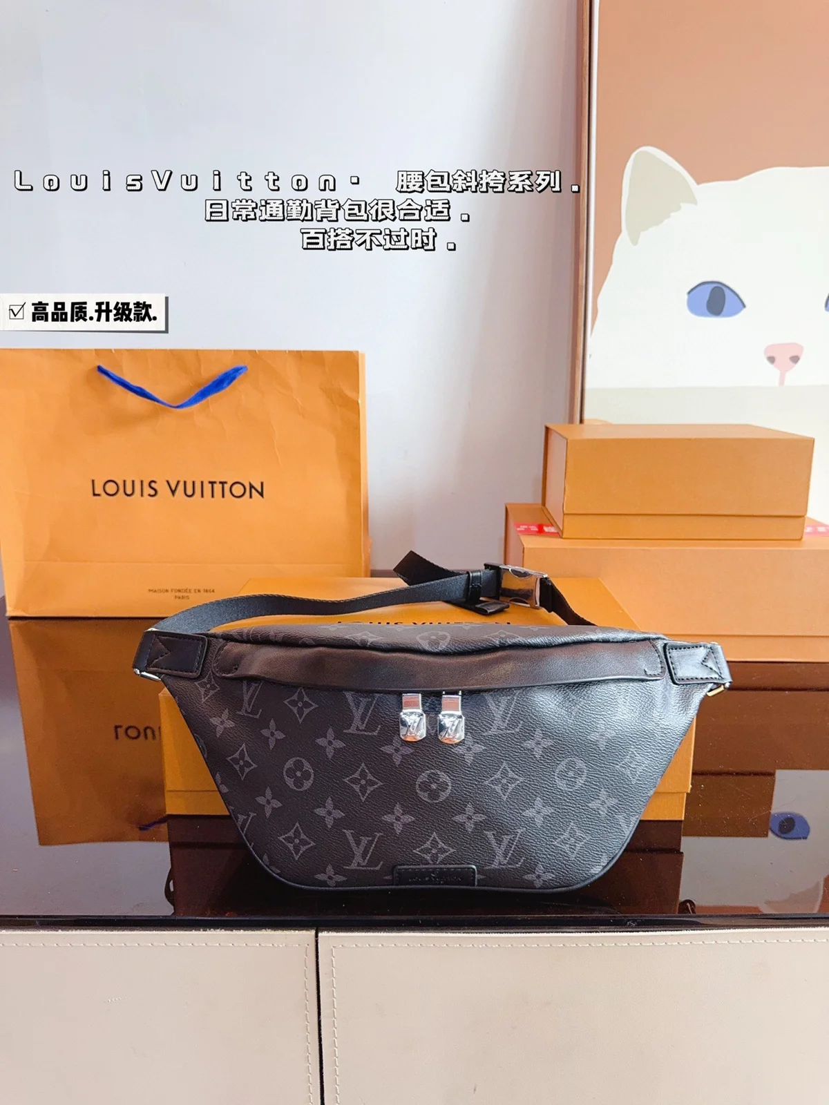 Louis Vuitton Bag