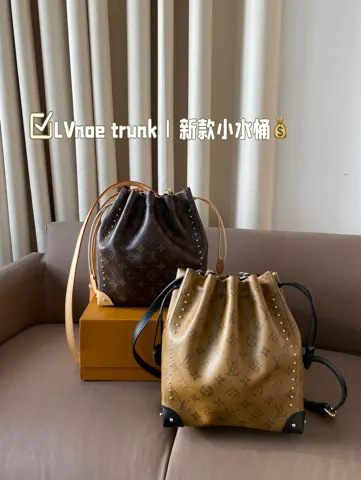 Louis Vuitton Bag