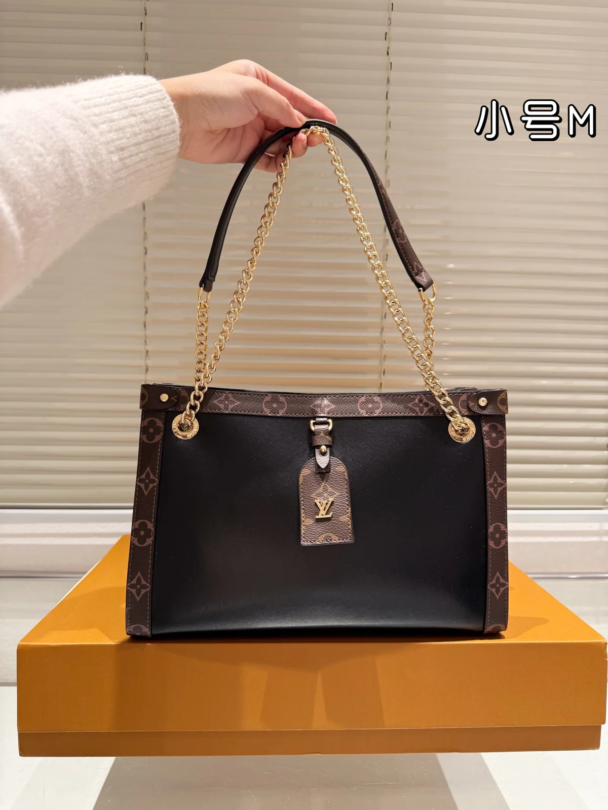 Louis Vuitton Bag