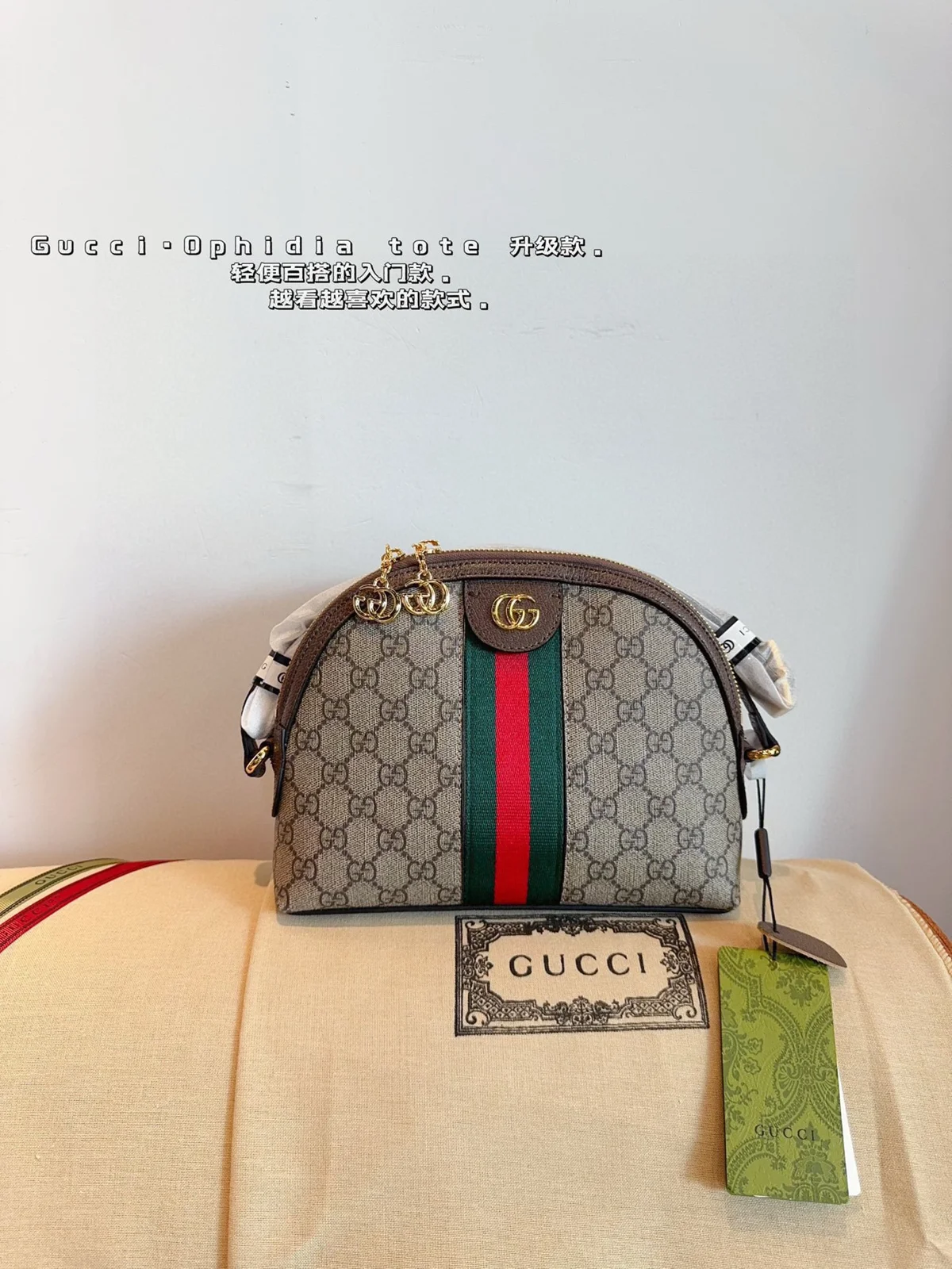 Gucci Bag