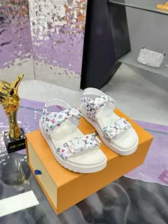 Louis Vuitton new slippers