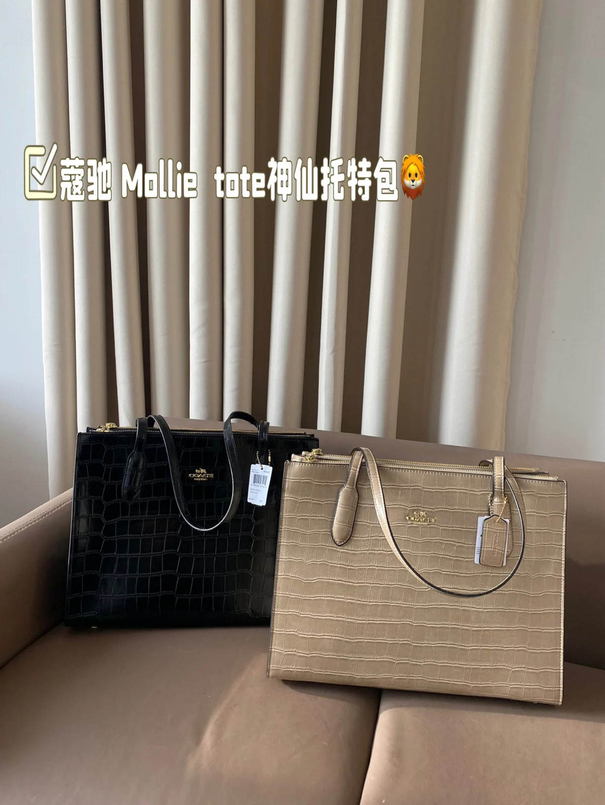 COACH Tote