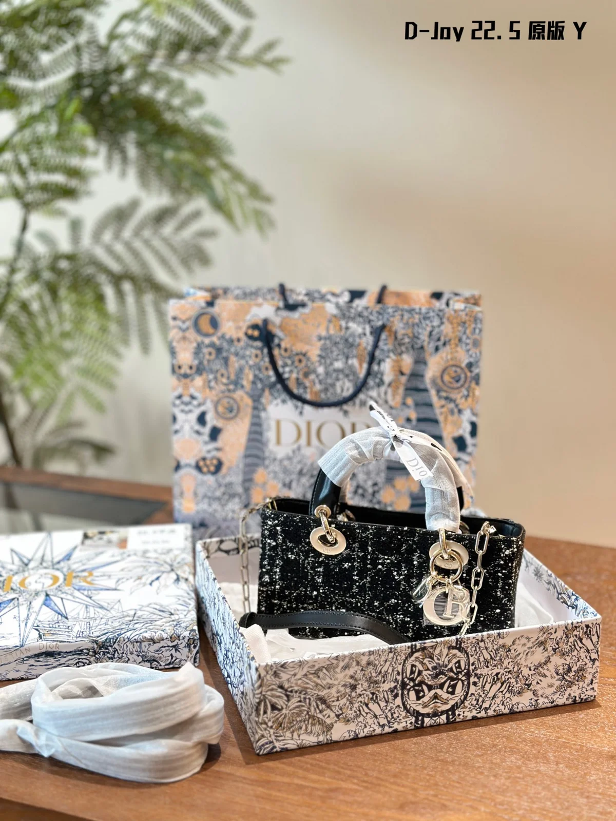 Dior Bag