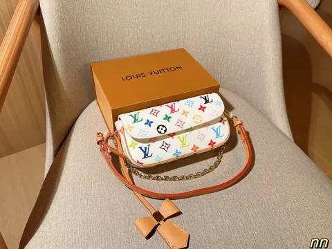 Louis Vuitton Bag