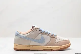 Nike DUNK LOW Dunk Series Retro Low-top Casual Sports Skateboard Shoes HF0106-100