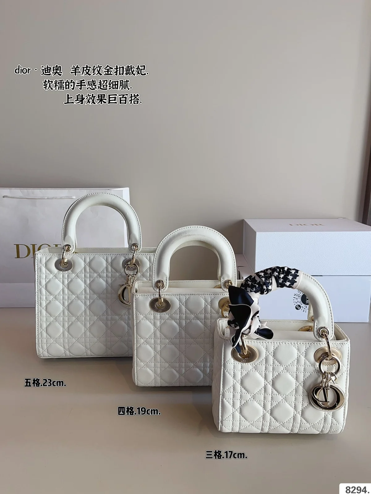 Dior Bag