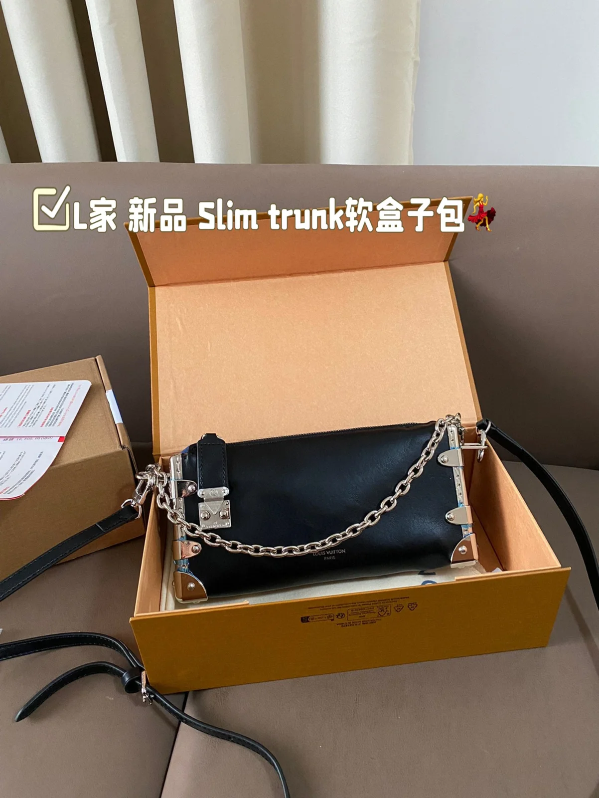 Louis Vuitton Bag