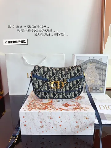 Dior Saddle