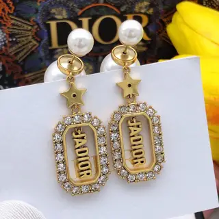 Dior Fashionable tassel earrings
