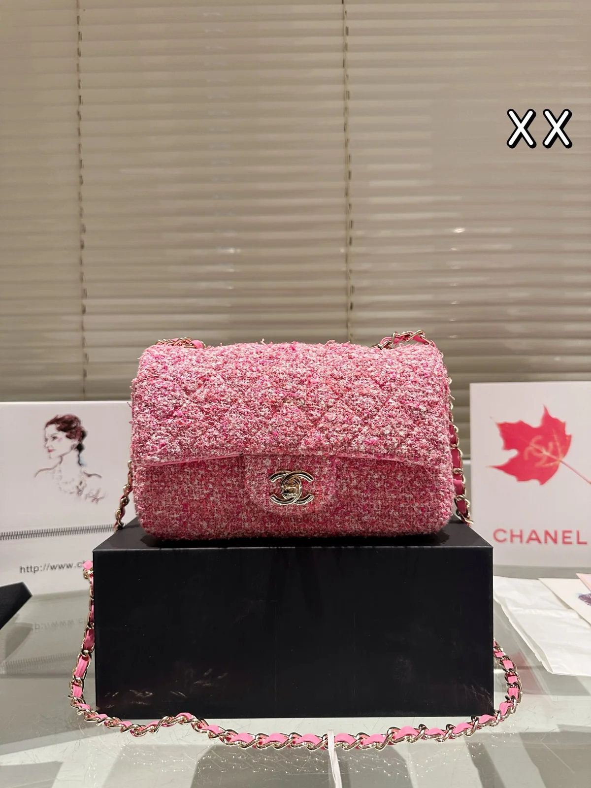 Chanel Bag