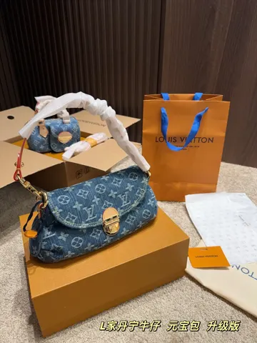 Louis Vuitton Bag