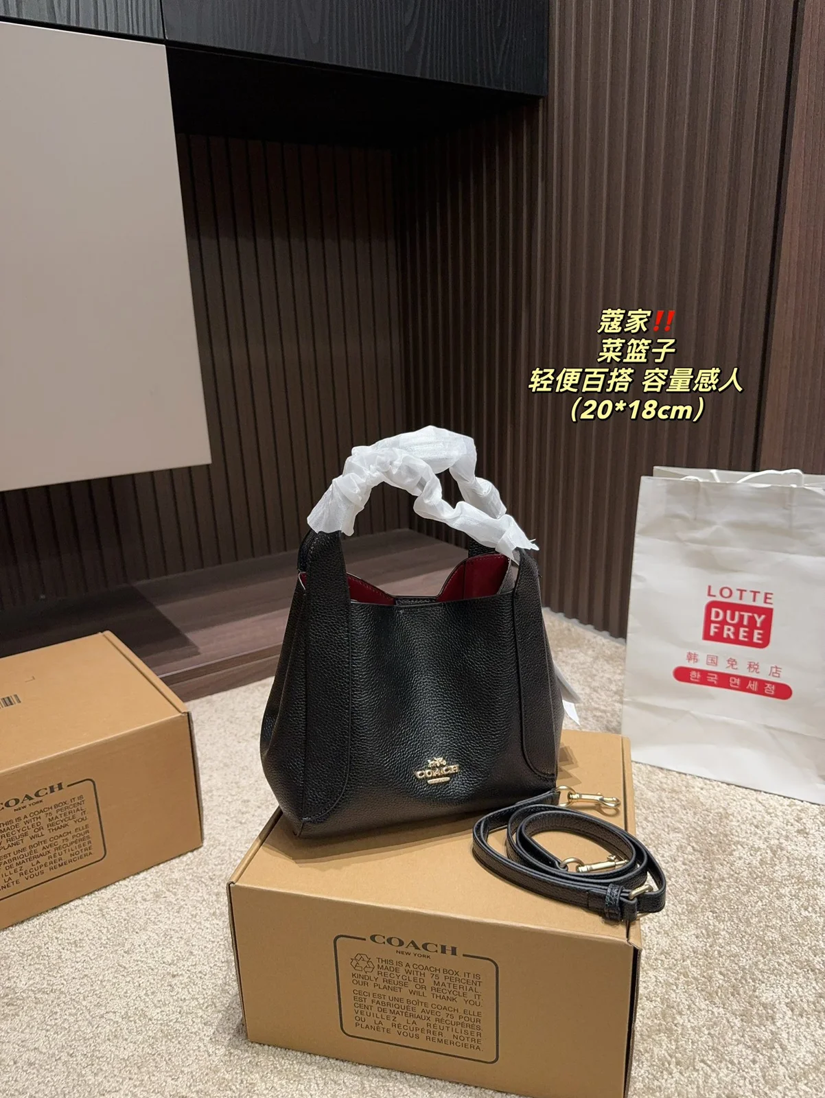 COACH Bag