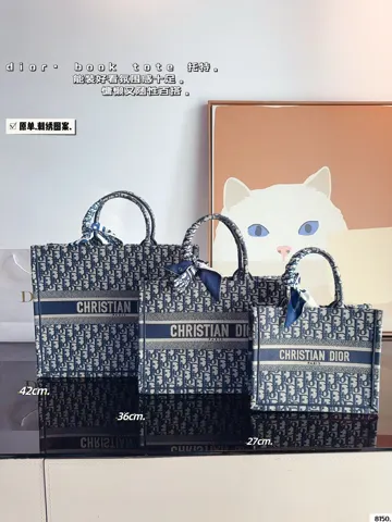 Dior Book Tote