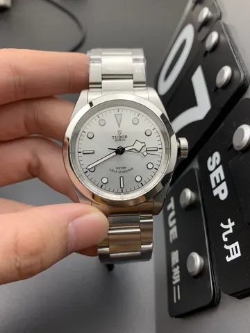 Tudor Watch
