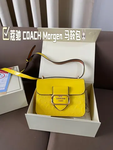 COACH Saddle