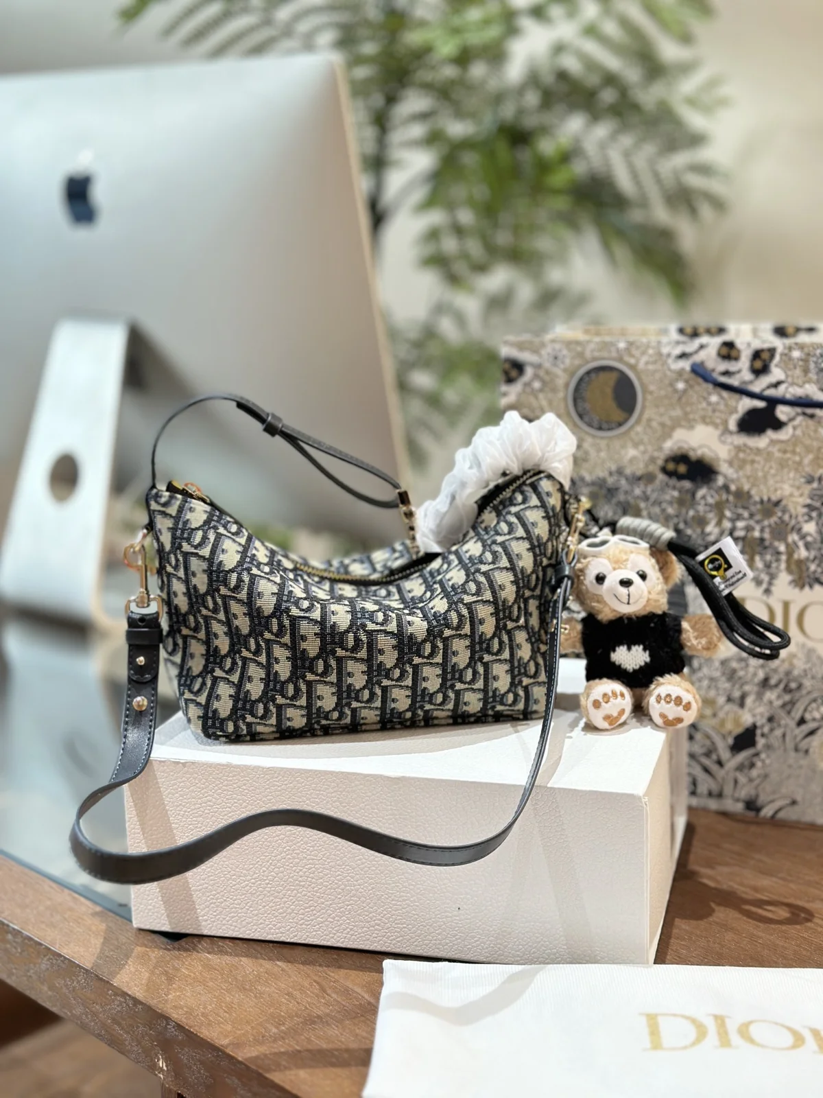 Dior Bag