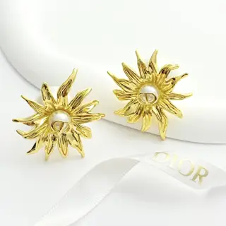 DIOR earrings hot sale new models
