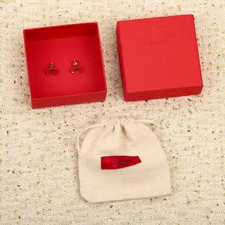 Valentino earrings