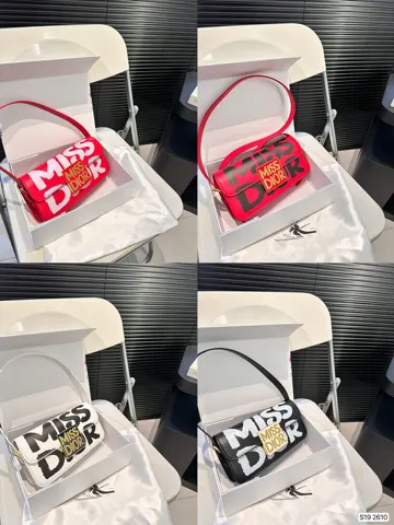 Dior Bag