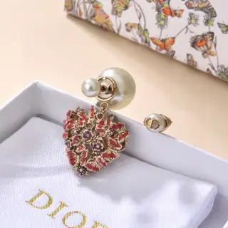 Dior New models are out Dior earrings that are loved by all the top brands. The metal