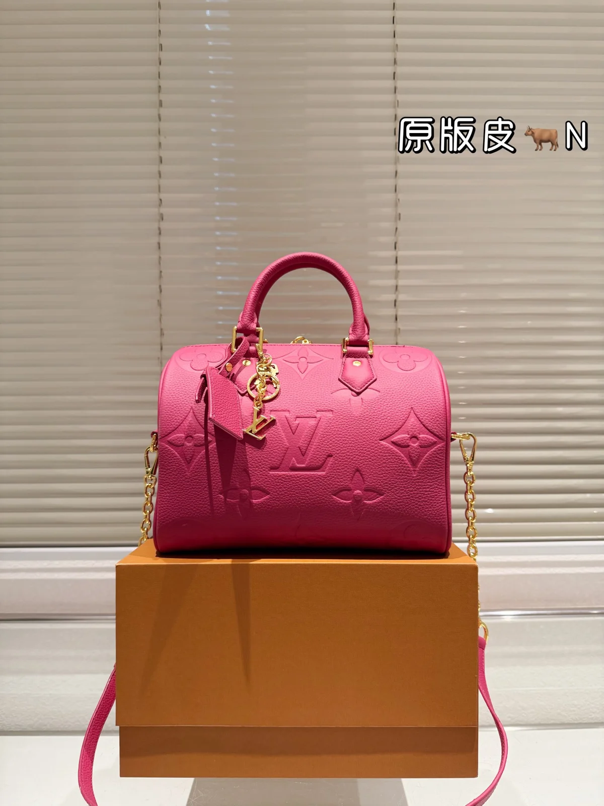 Louis Vuitton Speedy