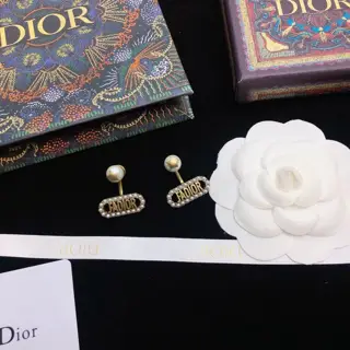 The latest Dior hot items