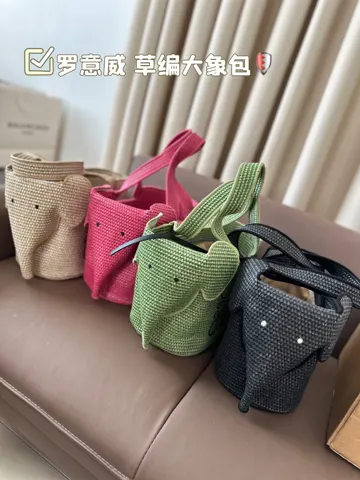 Loewe Bag