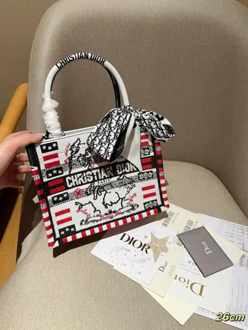 Dior Book Tote