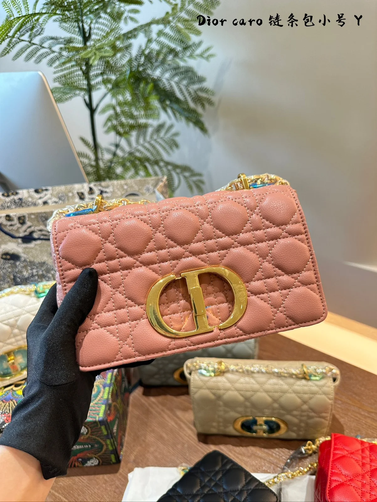 Dior Bag