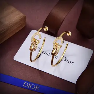 Dior 2023 new style Dior new letter earrings loved by first-line big brands. The metal
