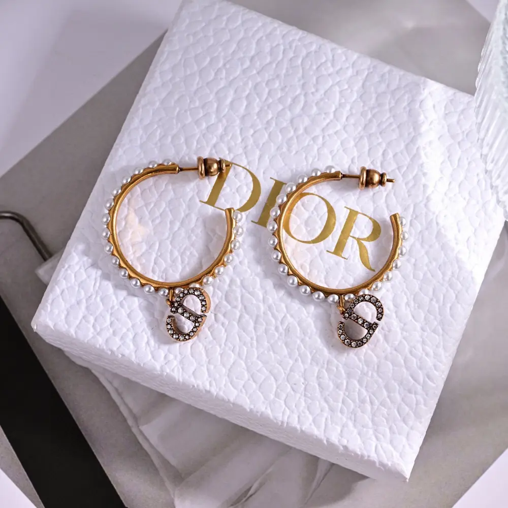 Dior 2024 new style Dior