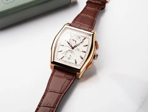 IWC Watch IW376419