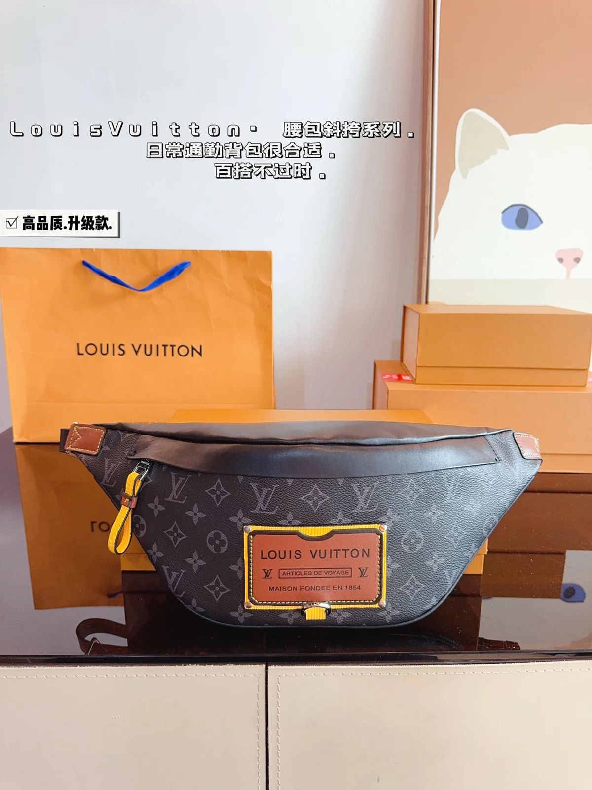 Louis Vuitton Bag