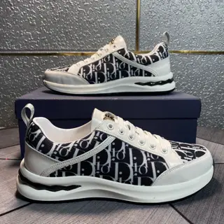Dior sneakers