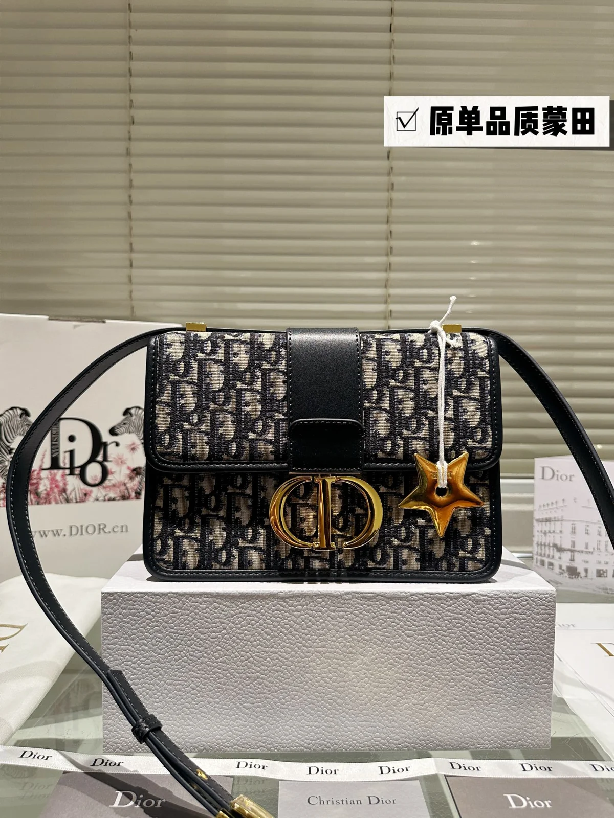 Dior Bag