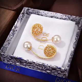 Dior New Style Dior new letter earrings loved by top brands. The metal texture