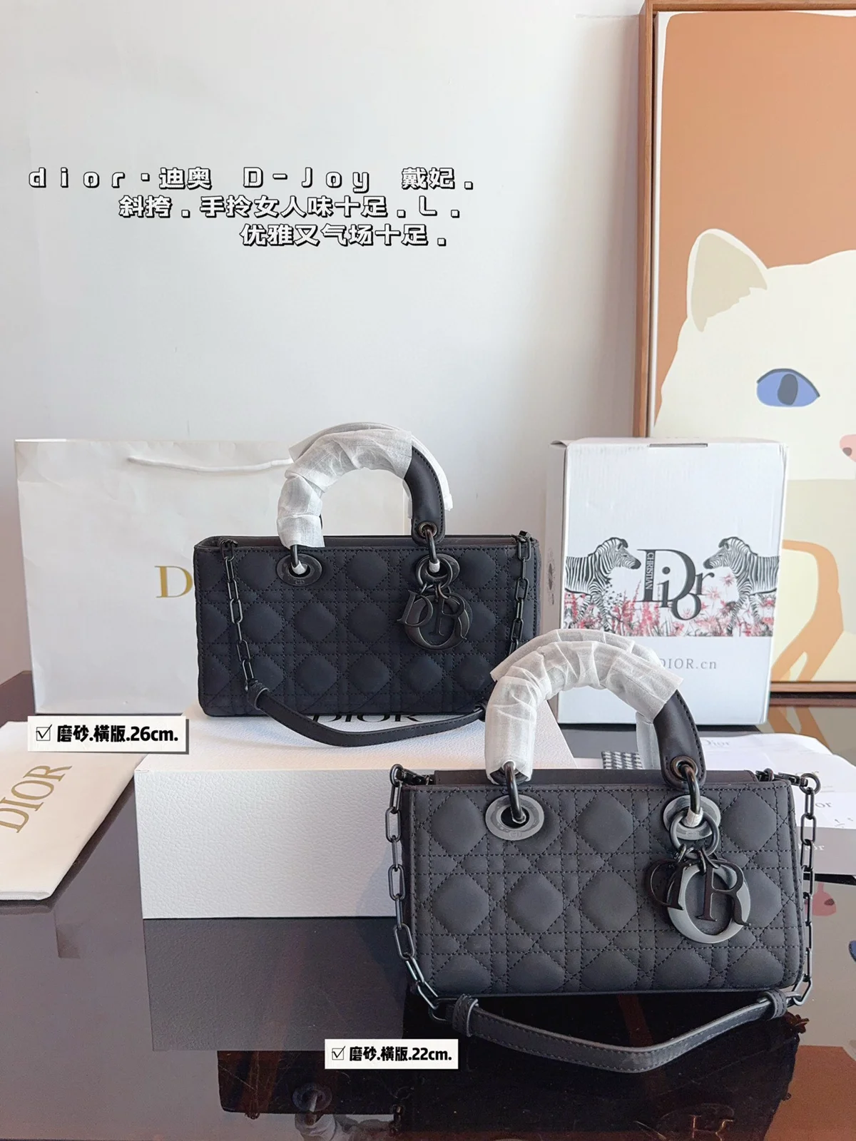 Dior Bag