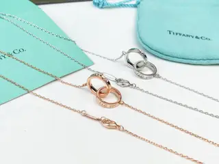 Tiffany classic 1837 double ring necklace [color] double ring interlocking design