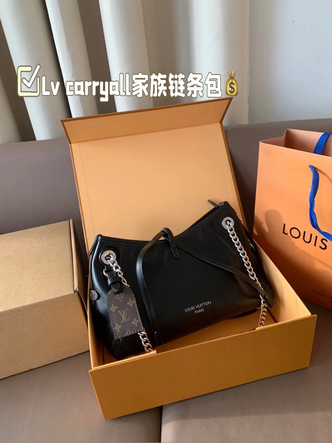 Louis Vuitton Bag