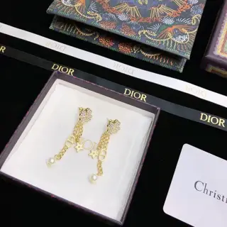 Dior new product original goods 2022 new DIOR letter earrings the same brass material as