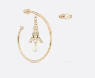 Dior new style Dior new letter earrings loved by top brands. The metal texture