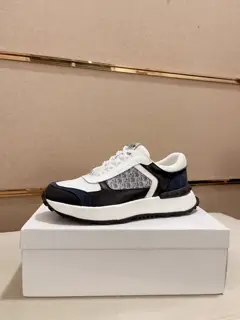 Dior sneakers