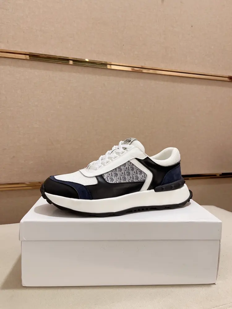 Dior sneakers